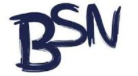 bsnwritingservices, 